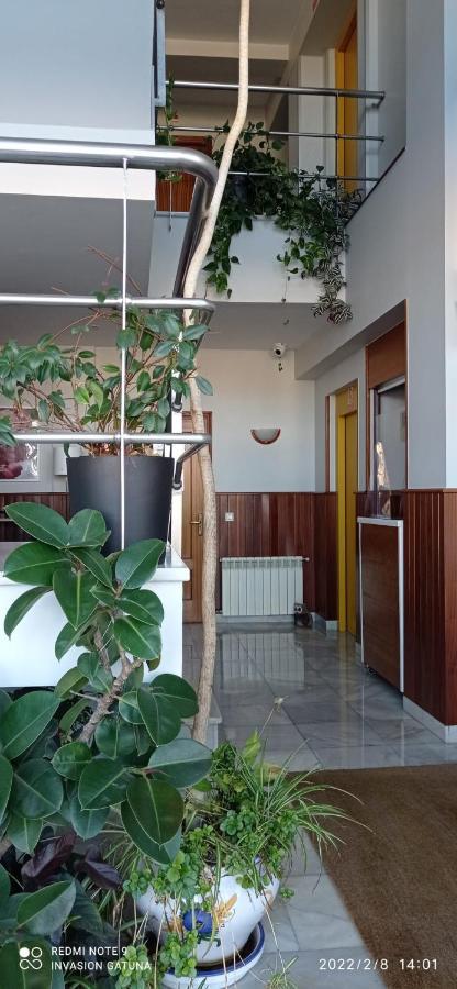 Hotel Narcea Valles  Dış mekan fotoğraf